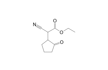 Ethyl cyano-(2-oxocyclopentyl)acetate