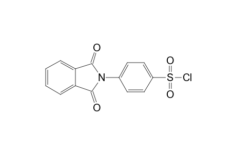 4-(1,3-DIOXO-2,3-DIHYDRO-1H-2-ISOINDOLYL)-1-BENZENE-SULFONYL-CHLORIDE