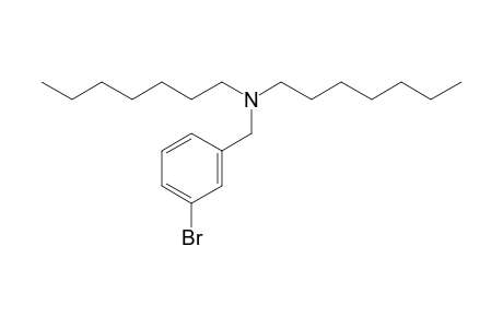 3-Bromobenzylamine, N,N-diheptyl-