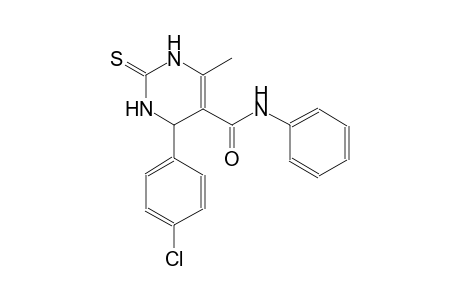 4-(4-chlorophenyl)-6-methyl-N-phenyl-2-thioxo-1,2,3,4-tetrahydro-5-pyrimidinecarboxamide