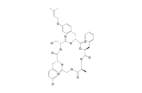 CONOIDEOCRELLIDE_A