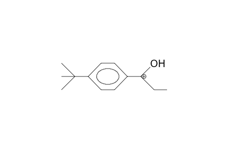 (4-tert-Butyl-phenyl)-ethyl-hydroxy-carbenium cation