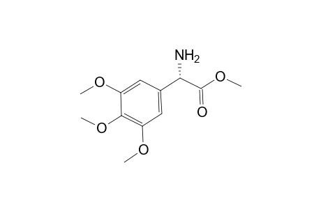 (2S)-2-amino-2-(3,4,5-trimethoxyphenyl)acetic acid methyl ester