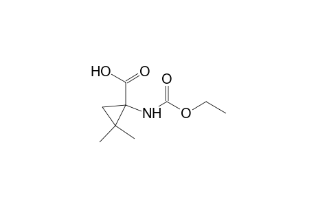 1-(carbethoxyamino)-2,2-dimethyl-cyclopropanecarboxylic acid