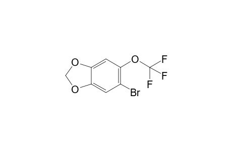 5-bromo-6-(trifluoromethoxy)-1,3-benzodioxole