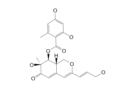 PINOPHILIN_B;(7-S,8-S,8A-S)-7-HYDROXY-3-[(1-E)-3-HYDROXYPROP-1-EN-1YL]-7-METHYL-6-OXO-6,7,8,8A-TETRAHYDRO