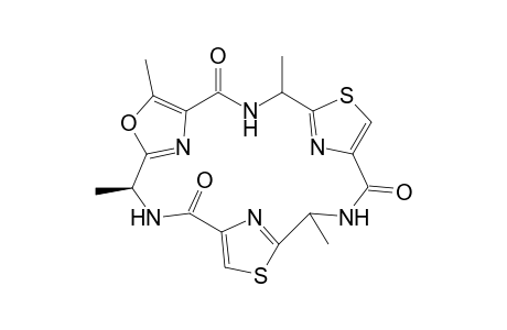 Tenuecyclamide B
