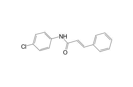 2-Propenamide, N-(4-chlorophenyl)-3-phenyl-