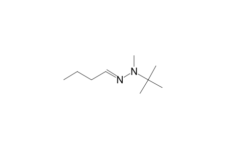 Butanal, (1,1-dimethylethyl)methylhydrazone, (E)-