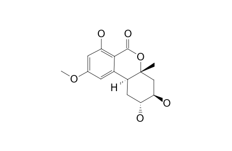 DIHYDROALTENUENE_B;(2-R,3-R,4A-R,10B-S)-1,2,3,4,4A,10B-HEXAHYDRO-2,3,7-TRIHYDROXY-9-METHOXY-4A-METHYL-6-H-BENZO-[C]-CHROMEN-6-ONE
