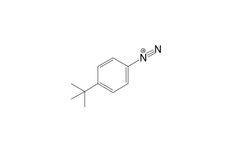 4-tert-butylbenzenediazonium