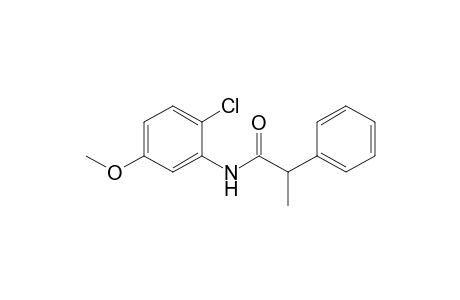 N-(2-Chloro-5-methoxyphenyl)-2-phenylpropanoic acid amide