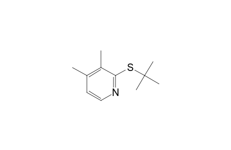 3,4-Lutidine, 2-(tert-butylthio)-