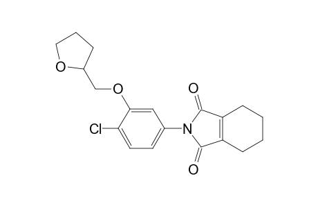 1H-Isoindole-1,3(2H)-dione, 2-[4-chloro-3-[(tetrahydro-2-furanyl)methoxy]phenyl]-4,5,6,7-tetrahydro-