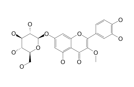 TRANSILIN;QUERCETIN-3-METHYLETHER-7-O-BETA-D-GLUCOPYRANOSIDE