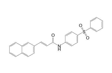 (E)-3-naphthalen-2-yl-N-[4-(phenylsulfonyl)phenyl]prop-2-enamide