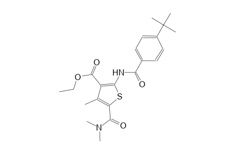 ethyl 2-[(4-tert-butylbenzoyl)amino]-5-[(dimethylamino)carbonyl]-4-methyl-3-thiophenecarboxylate