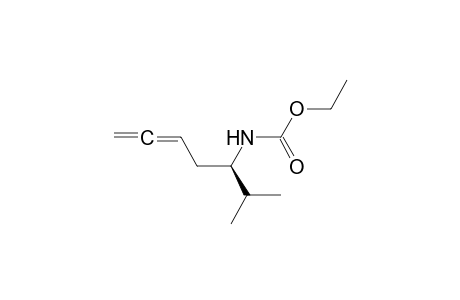(R)-5-N-Ethoxycarbonylamino-6-methyl-1,2-heptadiene