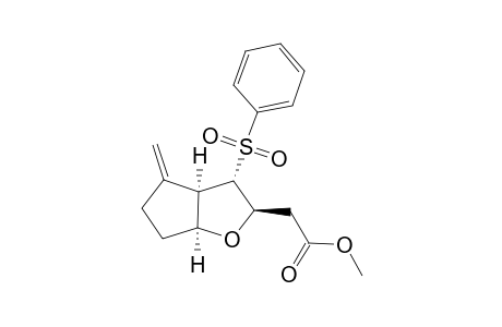 (1S*,3R*,4S*,5R*)3-[(Methoxycarbonyl)methyl]-5-methylene-2-oxa-4-(phenylsulfonyl)bicyclo[3.3.0]octane
