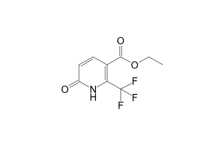6-keto-2-(trifluoromethyl)-1H-pyridine-3-carboxylic acid ethyl ester