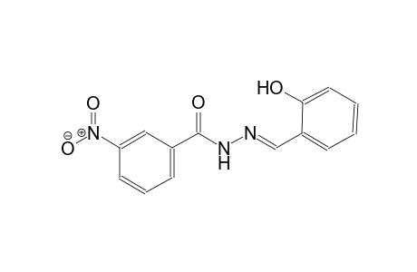 N'-[(E)-(2-hydroxyphenyl)methylidene]-3-nitrobenzohydrazide