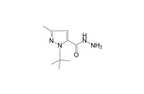 1-(tert-Butyl)-3-methyl-1H-pyrazole-5-carbohydrazide