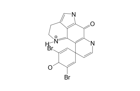 3-DIHYDRO-7,8-DEHYDRODISCORHABDIN_C