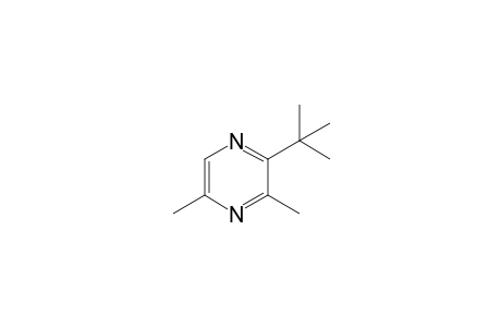2-tert-Butyl-3,5-dimethylpyrazine