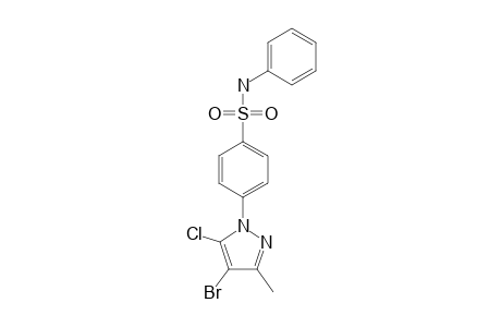 4-(4-BROMO-5-CHLORO-3-METHYL-1H-PYRAZOL-1-YL)-N-PHENYL-BENZENE-SULFON-AMIDE