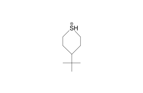 4-tert-Butyl-thianium cation