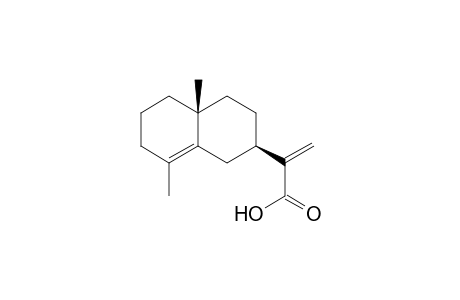 4,11(13)-Eudesmadien-12-oic acid