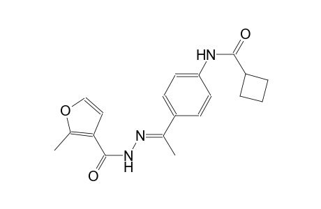 N-{4-[(1E)-N-(2-methyl-3-furoyl)ethanehydrazonoyl]phenyl}cyclobutanecarboxamide