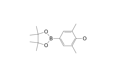 4-Hydroxy-3,5-dimethylphenylboronic acid pinacol ester