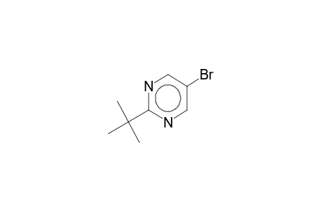 2-tert-butyl-5-bromopyrimidine