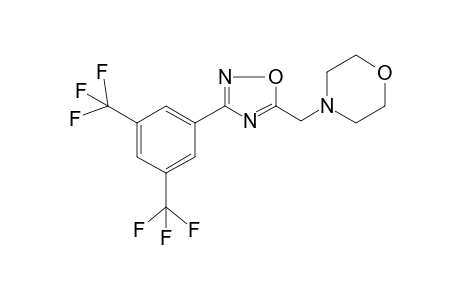 1,2,4-Oxadiazole, 3-(3,5-bistrifluoromethylphenyl)-5-(4-morpholylmethyl)-
