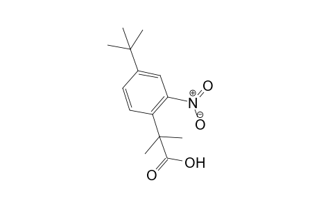 2-(4-t-Butyl-2-nitrophenyl)-2-methylpropanoic acid