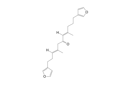 FUROSPONGIN-2