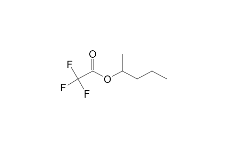 1-Methylbutyl trifluoroacetate