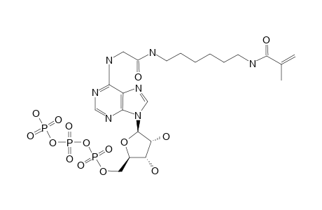 N(6)-[N-(6-METHACRYLAMIDOHEXYL)-CARBAMOYLMETHYL]-ADENOSINE-TRIPHOSPHATE