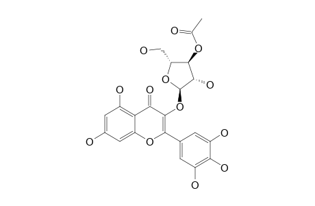 MYRICETIN-3-O-ALPHA-L-3''-ACETYLARABINOFURANOSIDE