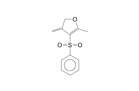 Furan, 4,5-dihydro-2-methyl-4-methylene-3-phenylsulfonyl-