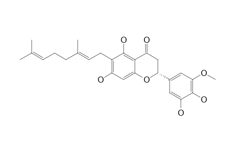3'-O-METHYL-5'-HYDROXYDIPLACONE