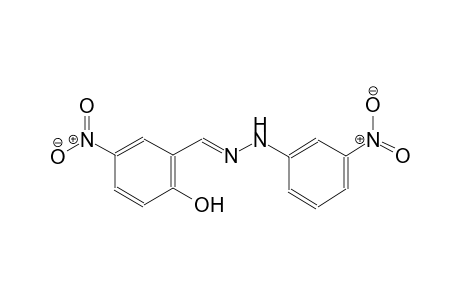 4-Nitro-2-[(3-nitro-phenyl)-hydrazonomethyl]-phenol
