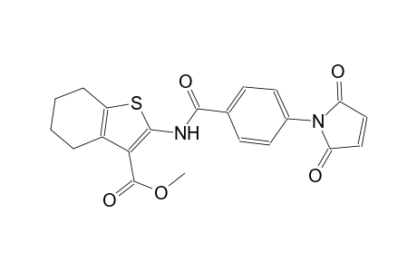 methyl 2-{[4-(2,5-dioxo-2,5-dihydro-1H-pyrrol-1-yl)benzoyl]amino}-4,5,6,7-tetrahydro-1-benzothiophene-3-carboxylate