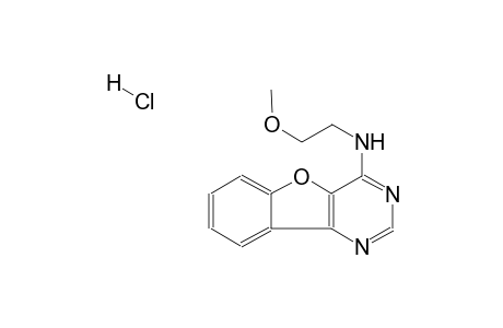 N-(2-methoxyethyl)benzofuro[3,2-d]pyrimidin-4-amine hydrochloride