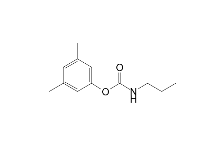 Carbamic acid, propyl-, 3,5-dimethylphenyl ester