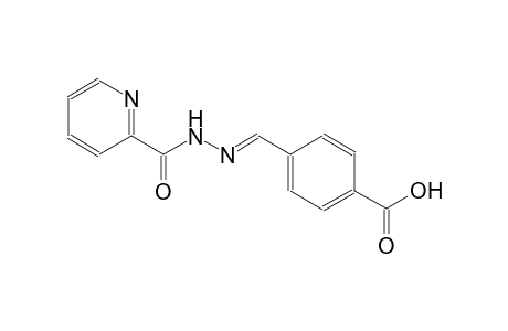4-{(E)-[(2-pyridinylcarbonyl)hydrazono]methyl}benzoic acid