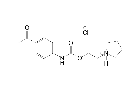 2-(1-pyrrolidiniumyl)ethyl 4-acetylphenylcarbamate chloride