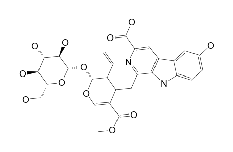 CORDIFOLINE