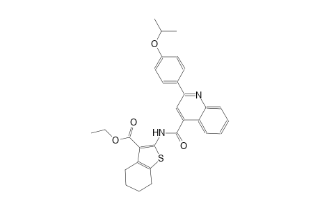 ethyl 2-({[2-(4-isopropoxyphenyl)-4-quinolinyl]carbonyl}amino)-4,5,6,7-tetrahydro-1-benzothiophene-3-carboxylate